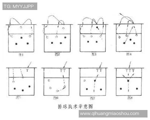 上海排球队选拔赛表现分析：团队配合与战术执行的深度解读