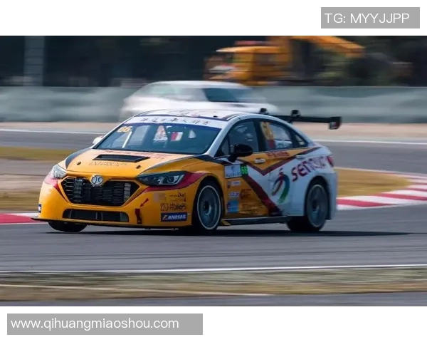 武汉网球队在全国锦标赛中以90分强势领跑积分榜，展现出色竞技状态