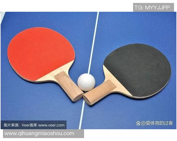 从零基础到乒乓球高手的全面提升指南与实战技巧分享