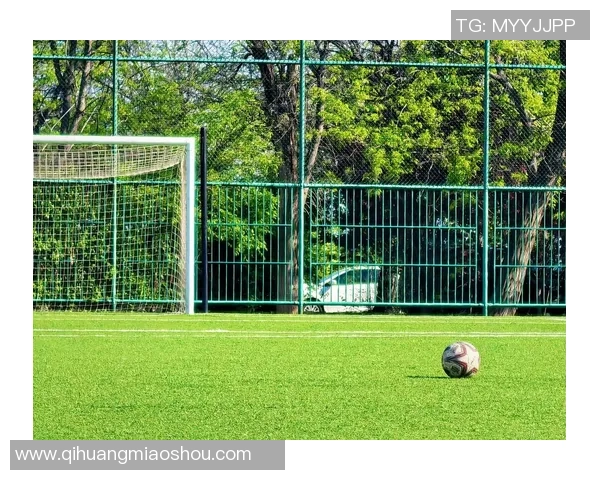 在绿茵场上追逐梦想足球带我飞向未来的希望 在绿茵场上追逐梦想足球带我飞向未来的希望