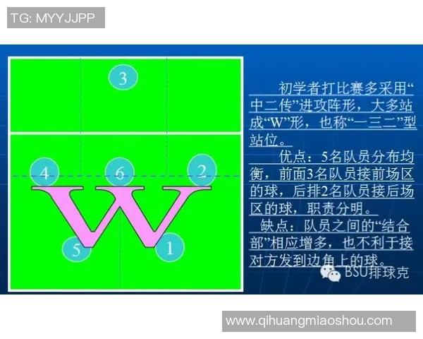 武汉羽毛球队整体压制打法深度解析与战术优势剖析