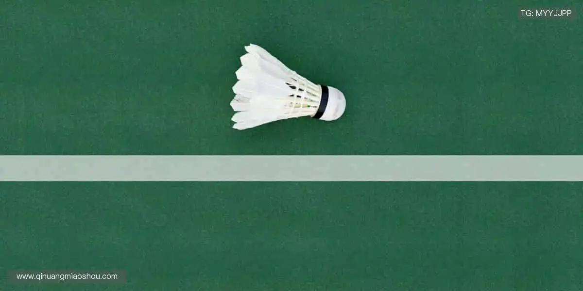 实时解说，让你不错过任何一个绝杀瞬间！🎙️🏃