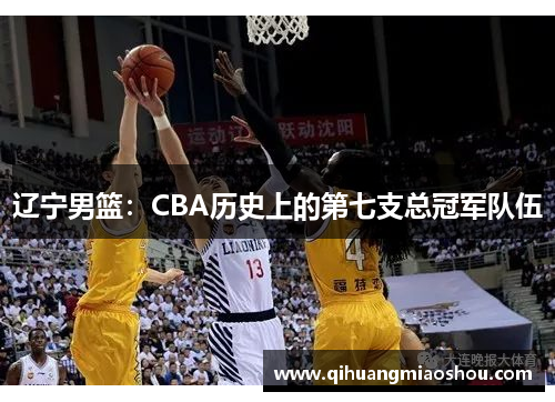 辽宁男篮：CBA历史上的第七支总冠军队伍