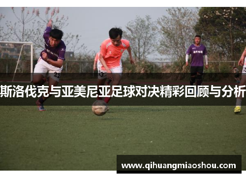 斯洛伐克与亚美尼亚足球对决精彩回顾与分析