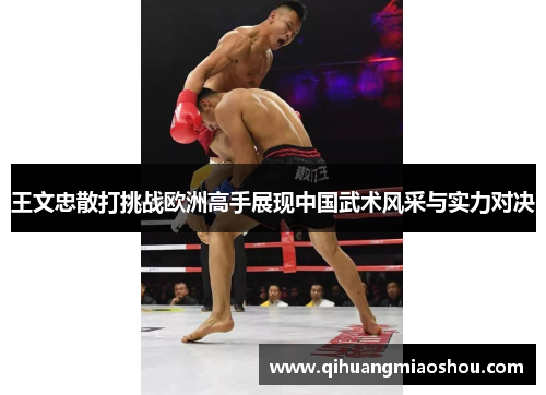 王文忠散打挑战欧洲高手展现中国武术风采与实力对决