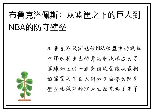 布鲁克洛佩斯：从篮筐之下的巨人到NBA的防守壁垒